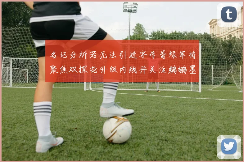 名记分析若无法引进字母哥绿军将聚焦双探花升级内线并关注鹈鹕墨菲